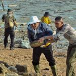 Gubernur Ansar Pimpin Aksi Bersih Laut di Pulau Penyengat
