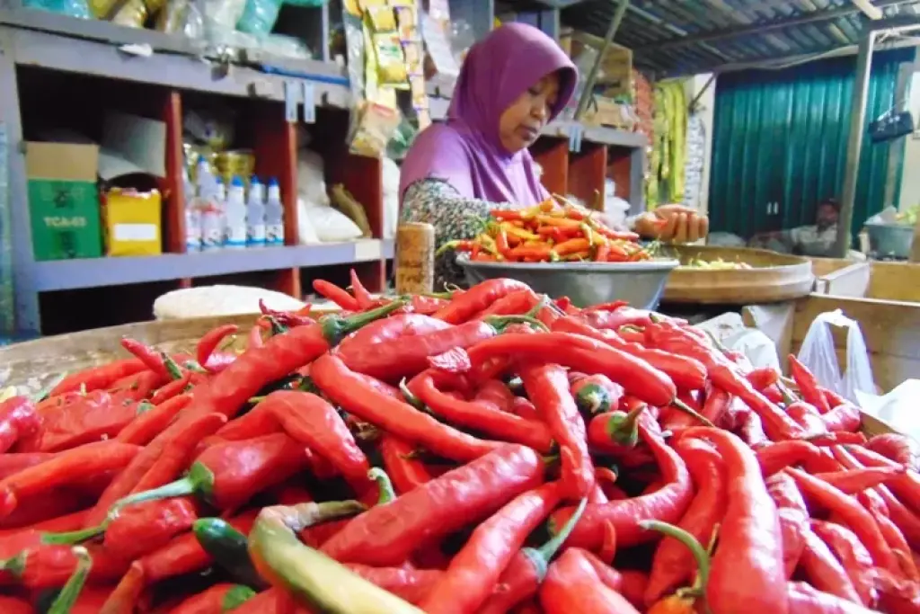 Dampak Bencana Alam di Sumatera, Harga Cabai di Tanjungpinang Meroket