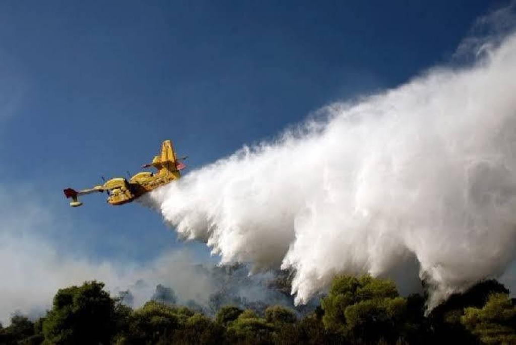 Musim Kemarau Tiba, Riau Perketat Patroli untuk Cegah Karhutla