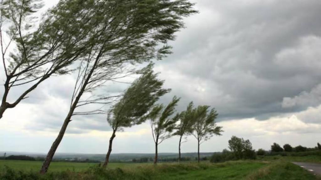 Kepri Diperkirakan Cerah Berawan, BMKG Imbau Waspada Hujan Lokal dan Gelombang Laut Tinggi