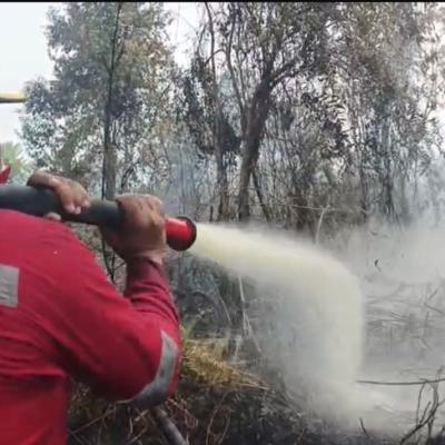 Tim Gabungan Berjibaku Padamkan Karhutla di Rimbo Panjang, Api Mulai Dekati Permukiman
