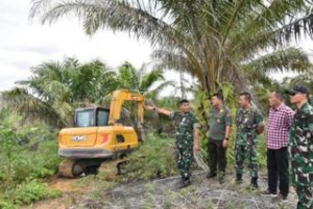 Danrem 031/Wira Bima Saksikan Langsung Penumbangan Sawit di Kawasan TNTN