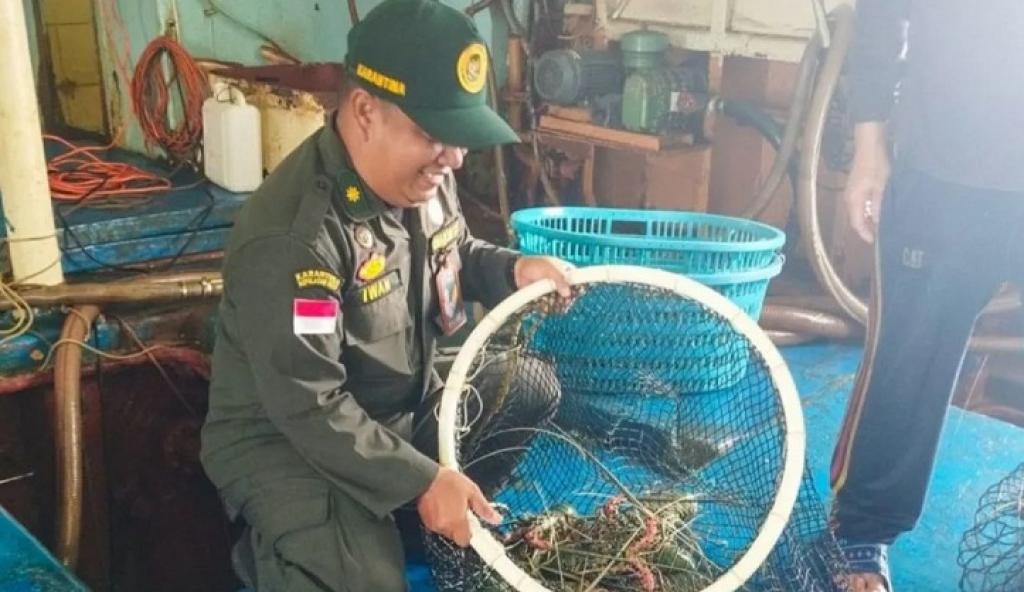 6.688 Komoditas Perikanan Natuna Tembus Pasar Hong Kong, BKHIT Kepri Pastikan Kualitas Terjaga