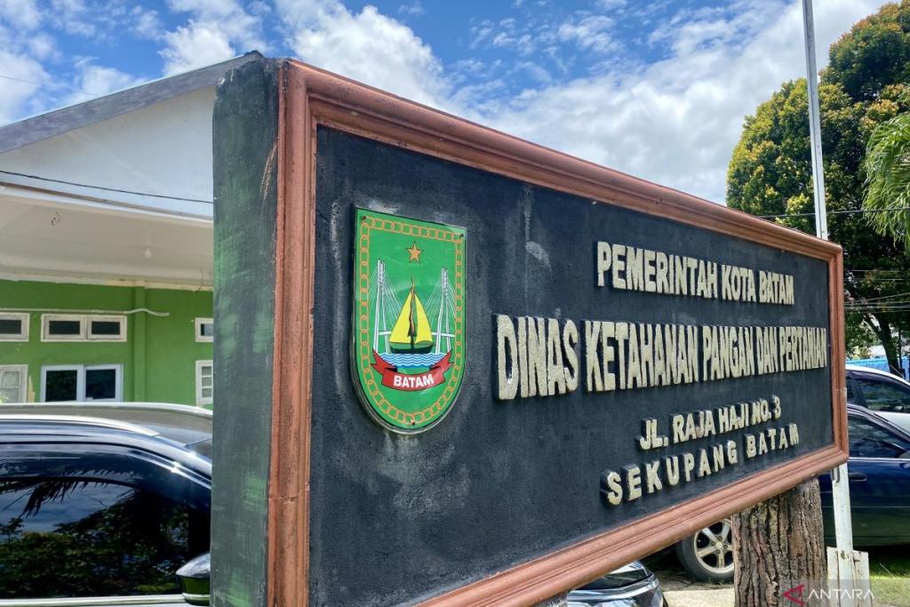 DKPP Batam Cek Kadar Pestisida pada Bahan Baku Masakan di dapur SPPG