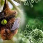 Cegah Masuknya Virus Nipah, Dinkes Tanjungpinang Perketat Pengawasan