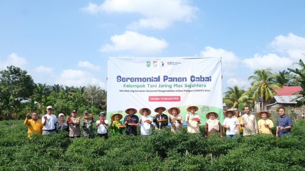 Panen Perdana Cabai Merah di Kampar: Solusi GNPIP Riau untuk Stabilitas Harga Pangan