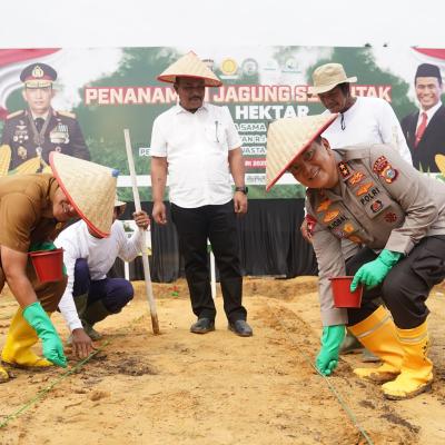 Serentak Seluruh Indonesia, Polda Riau Ikut Berpartisipasi Tanam Jagung Satu Juta Hektar