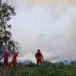 Tim Gabungan Masih Berusaha Tangani Empat Titik Karhutla di Riau