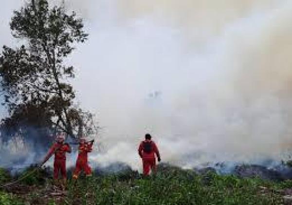 Tim Gabungan Masih Berusaha Tangani Empat Titik Karhutla di Riau