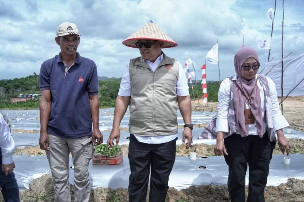 Wagub Nyanyang Hadiri Penanaman Cabai Perdana di Galang Baru