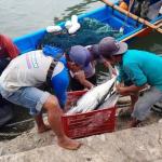 Nelayan Kampung Haji Tanjungpinang Tetap Melaut Meski Diterpa Cuaca Buruk