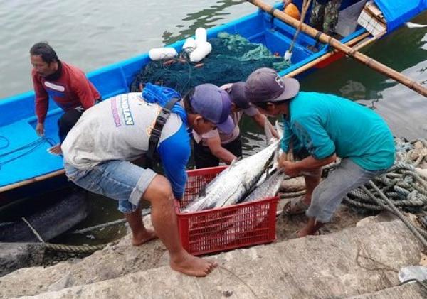 Nelayan Kampung Haji Tanjungpinang Tetap Melaut Meski Diterpa Cuaca Buruk