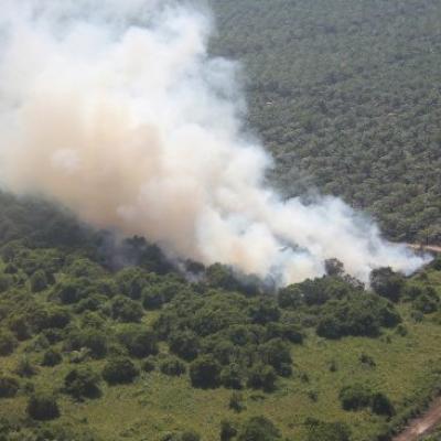 Ada Titik Panas Menyala di Kampar Pagi ini, Total 18 Hotspot Tersebar di Sumatera