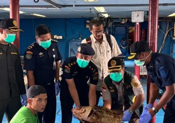 Sebanyak 10.362 Ekor Ikan dari Natuna Diekspor ke Hong Kong Setelah Lolos Karantina