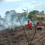 Damkar Natuna Padamkan Kebakaran Lahan 2 Hektare di Kawasan Puak