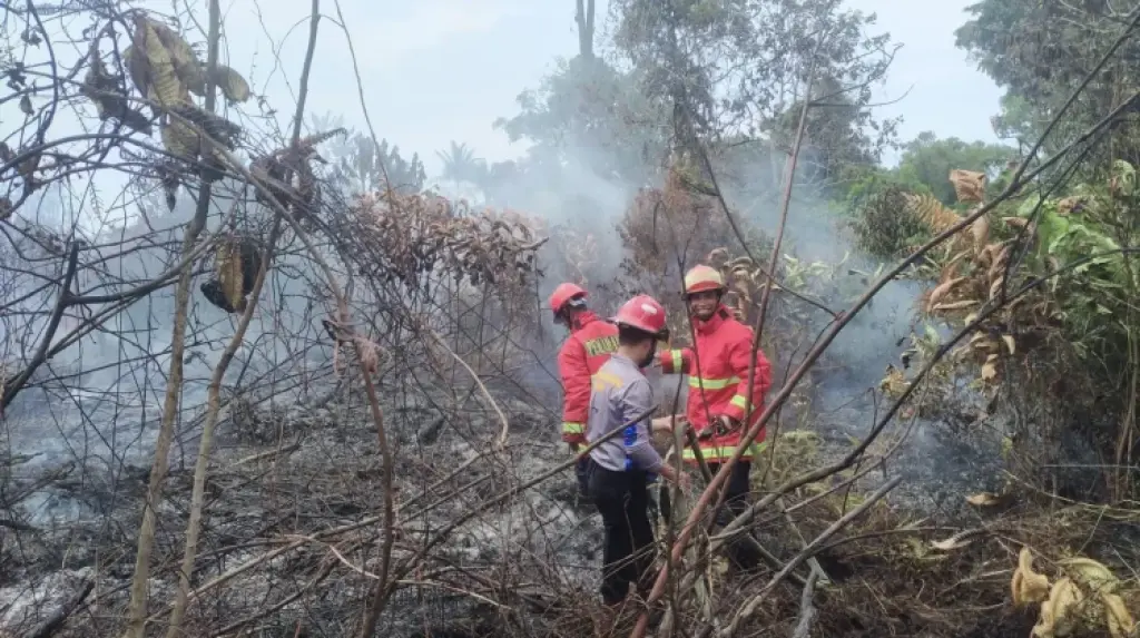 Kebakaran Lahan Seluas 1 Hektare Terjadi di Belakang Perumahan Pemda Natuna