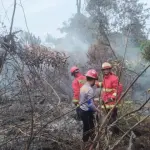 Kebakaran Lahan Seluas 1 Hektare Terjadi di Belakang Perumahan Pemda Natuna