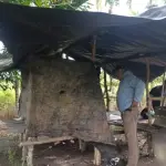 Diduga Jadi Lokasi Transaksi Sabu, Pondok Kayu di Penebal Dibongkar Polisi