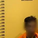 Diduga Bakar Lahan, Pria 60 Tahun di Inhu Ditangkap Polisi