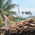 Polres Rohil Amankan 483 Keping Kayu Diduga Ilegal