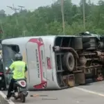 Tabrakan Bus Pegawai -Xpander di Bintan, Sejumlah Penumpang Luka-luka
