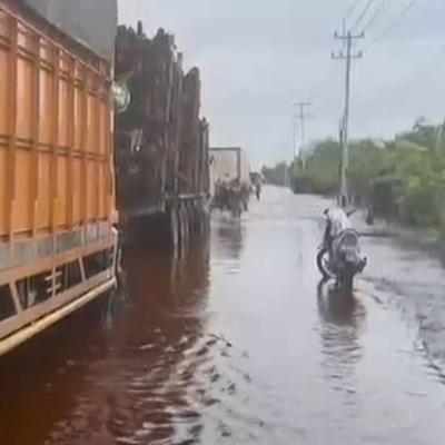 Banjir Meluas di Pelalawan: 3 Kecamatan Terisolasi, Jalintim Nyaris Tenggelam Lagi