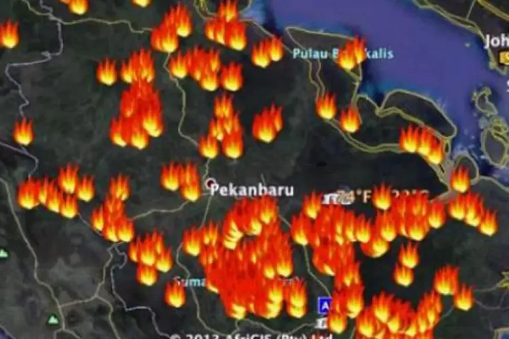 BMKG Catat 42 Hotspot di Sumatera Pagi ini, Sumbar Terbanyak, Riau 3 Titik Panas