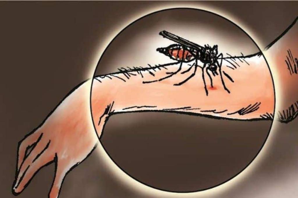 129 Warga Terserang Malaria, Pemko Tanjungpinang Fokus Tangani Senggarang dan Kampung Bugis
