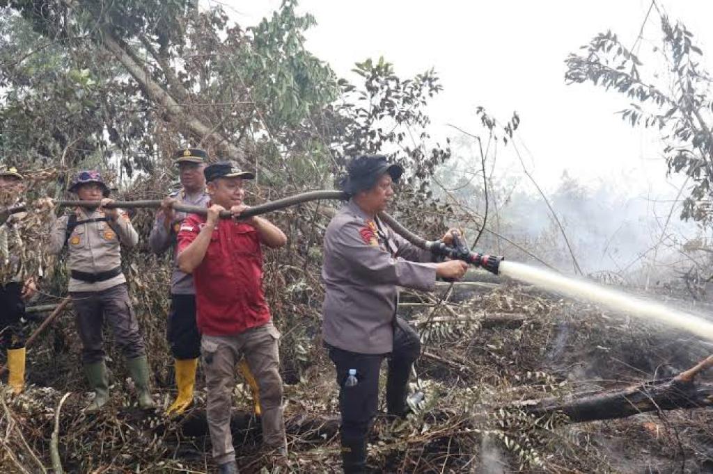 Bakar Lahan 500 Hektare di Pelalawan, Satu Tersangka Ditangkap Polisi