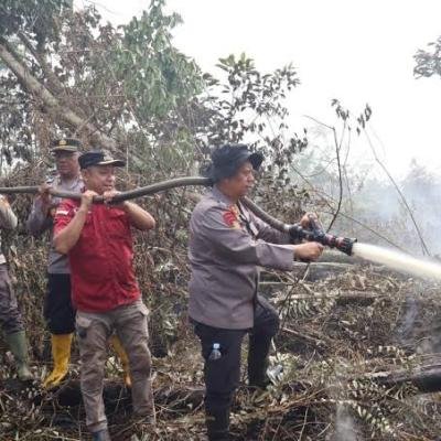 Bakar Lahan 500 Hektare di Pelalawan, Satu Tersangka Ditangkap Polisi