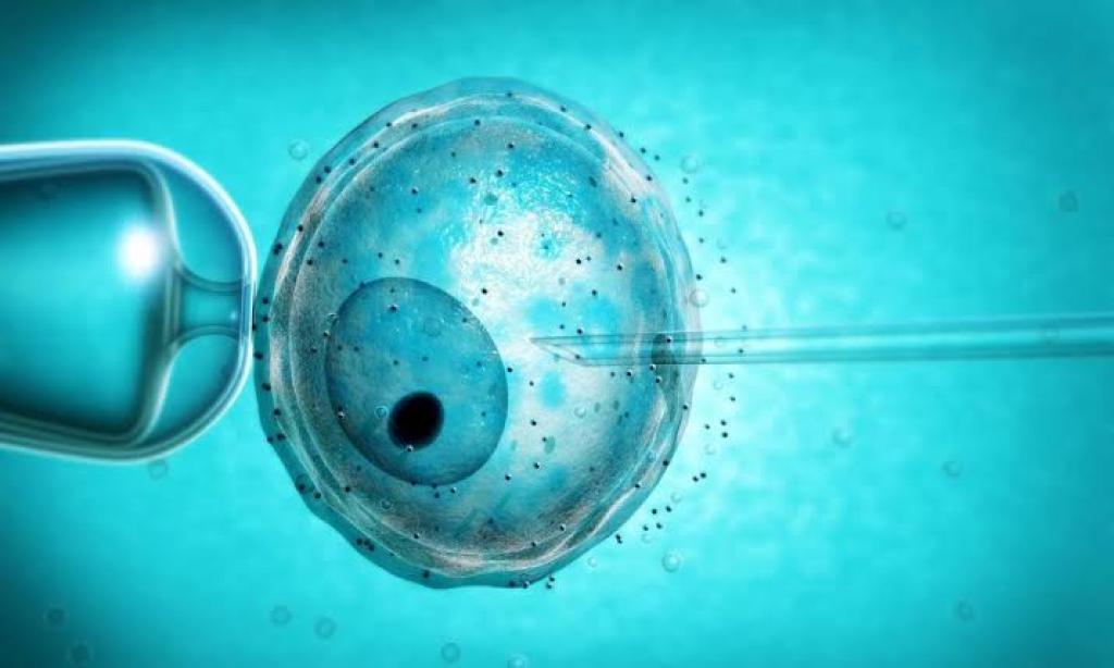 Pecahkan Rekor Dunia, Bayi Ini Lahir dari Embrio yang Dibekukan Selama 31 Tahun