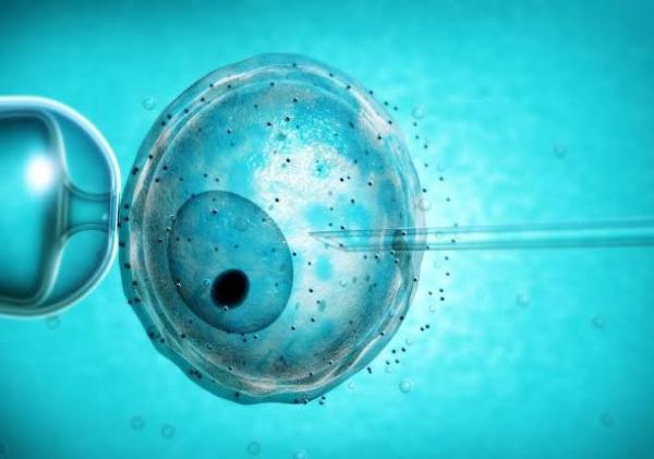 Pecahkan Rekor Dunia, Bayi Ini Lahir dari Embrio yang Dibekukan Selama 31 Tahun