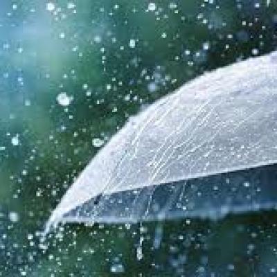 Cuaca Riau Hari Ini: Hujan Lokal dan Potensi Cuaca Ekstrem di Beberapa Daerah