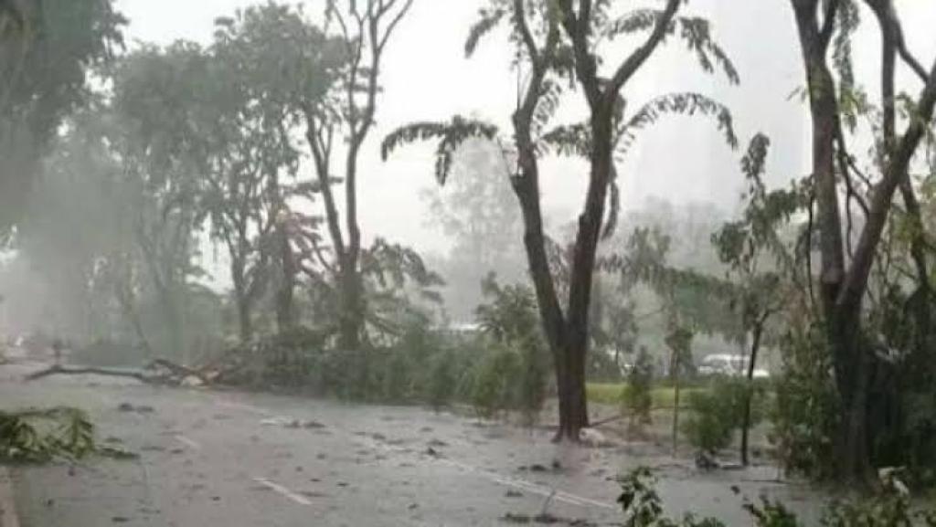 BMKG Peringatkan Hujan Petir di Riau, Ini Daerah yang Terdampak