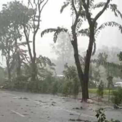 BMKG Peringatkan Hujan Petir di Riau, Ini Daerah yang Terdampak