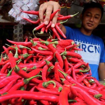 Harga Bahan Pokok di Pekanbaru Meroket Jelang Imlek 2025, Cabai Merah Tembus Rp70 Ribu per Kilogram