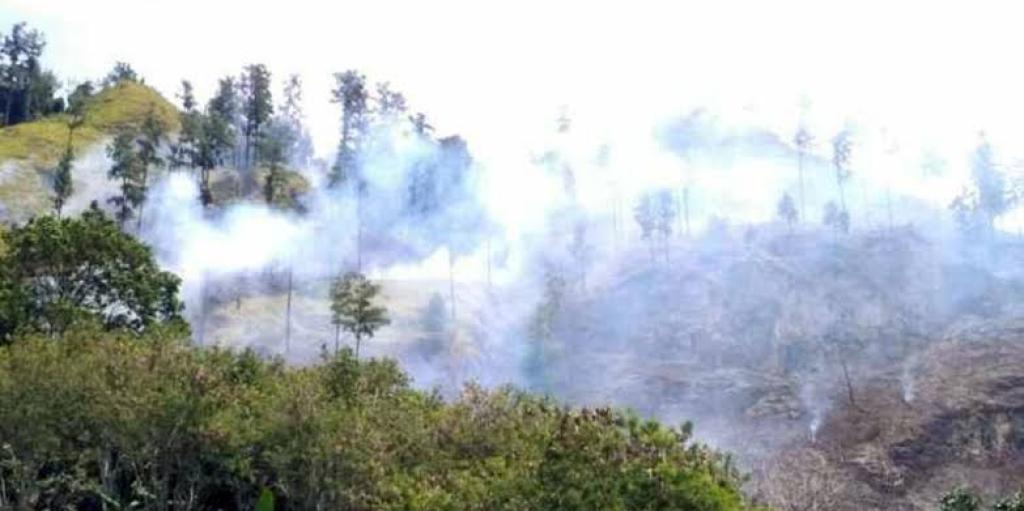 Peningkatan Hotspot di Sumatera Pagi ini: Riau Mendominasi dengan 11 Titik