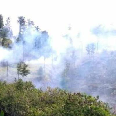 Peningkatan Hotspot di Sumatera Pagi ini: Riau Mendominasi dengan 11 Titik