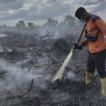 Sepanjang 2024, Polda Riau Tangani 1.635 Hektare Lahan Terbakar