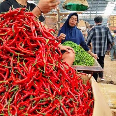 Disperindag Kepri Gencarkan Kerja Sama Antardaerah untuk Kendalikan Harga Cabai