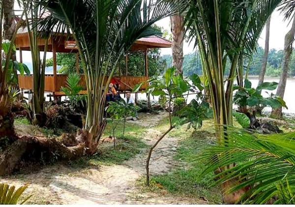 Pulau Semut, Destinasi Wisata Baru di Pekanbaru Perpaduan Alam dan Budaya Melayu