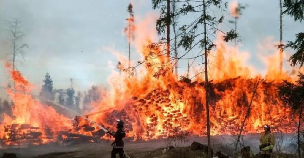 8 Hotspot di Sumatera, 2 Titik Panas di Riau Pagi ini