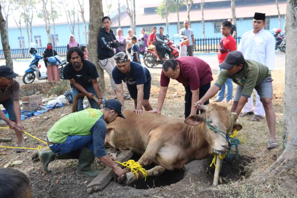 Alhamdulillah, 52.885 Ekor Hewan Kurban Bakal Disembelih Tahun Ini