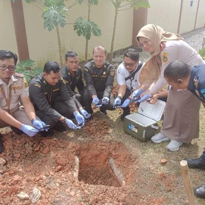 Bahayakan Ekosistem, BKHIT Kepri Musnahkan Spesies Ikan Invasif