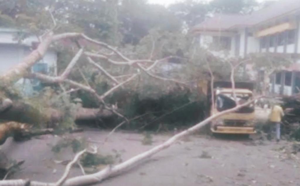 Pohon Besar di Kantor Bupati Inhu Tumbang, Seorang Warga Terluka