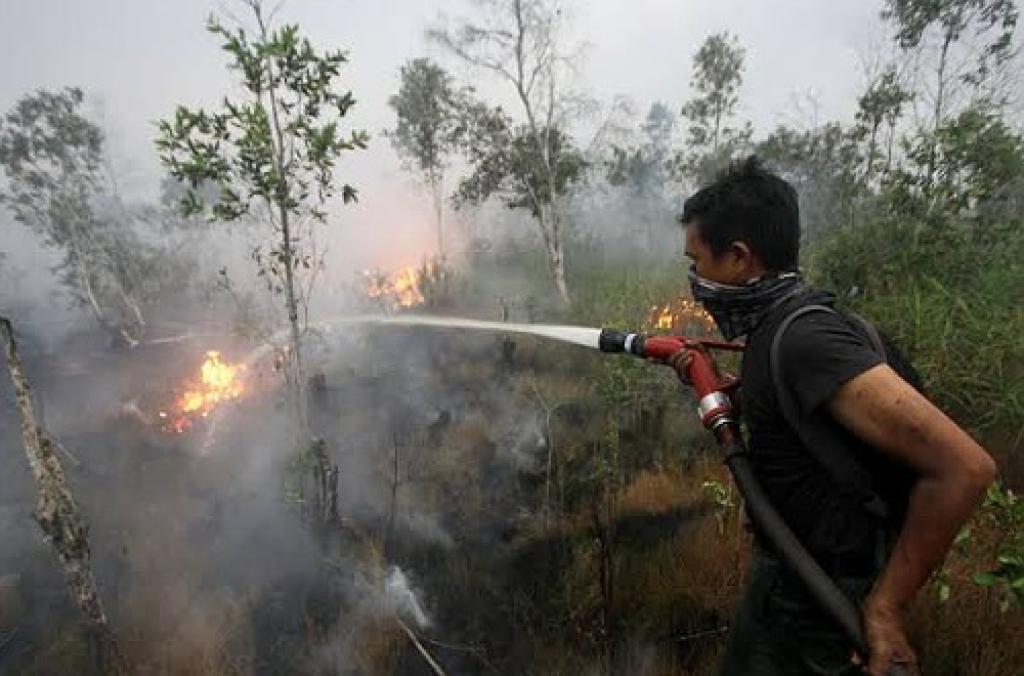 BMKG Pantau 13 Hotspot di Sumatera Hari ini, 2 Titik Panas di Pelalawan