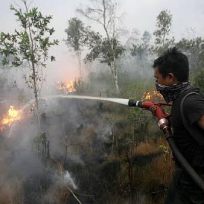 BMKG Pantau 13 Hotspot di Sumatera Hari ini, 2 Titik Panas di Pelalawan