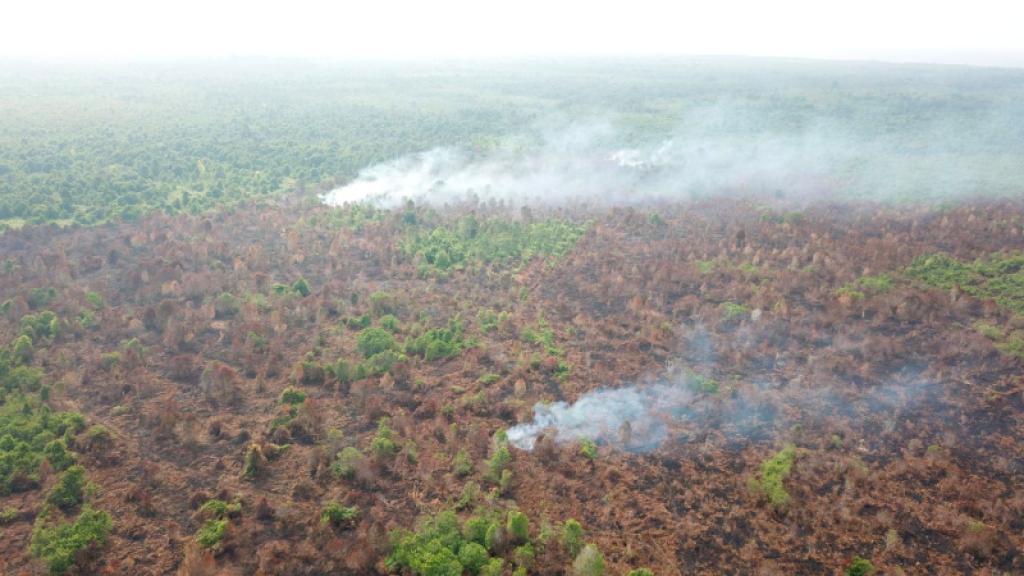 39 Titik Panas Terpantau di Sumatera Hari ini, Riau Catat 10 Hotspot