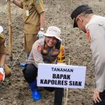 Kolaborasi Bersama PT Ivo Mas Tunggal dan Masyarakat, Polres Siak Tanami Ribuan bibit Jagung Pipil Diatas Lahan Seluas 6,5 Hektar