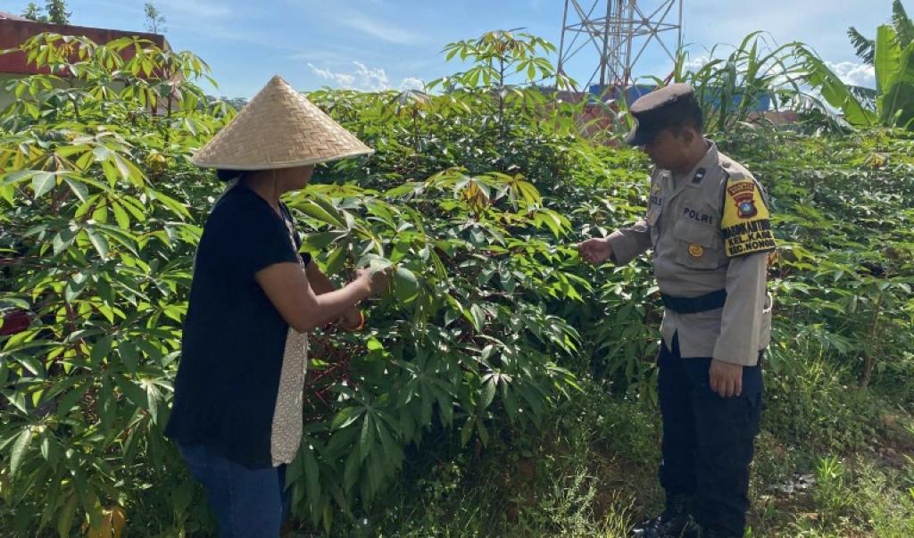 Polsek Nongsa Ubah Lahan Tidur Jadi Sumber Pangan Produktif